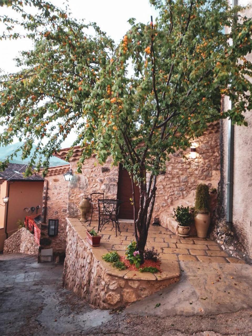 La Casa Sul Lago Posta Fibreno エクステリア 写真
