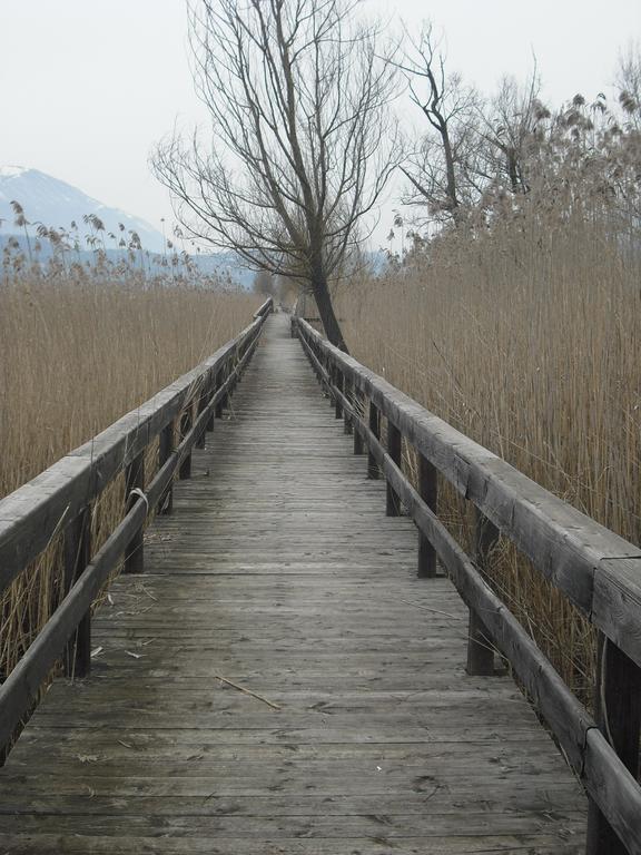 La Casa Sul Lago Posta Fibreno エクステリア 写真