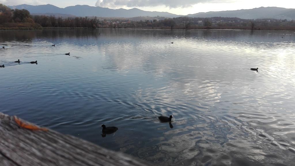La Casa Sul Lago Posta Fibreno エクステリア 写真