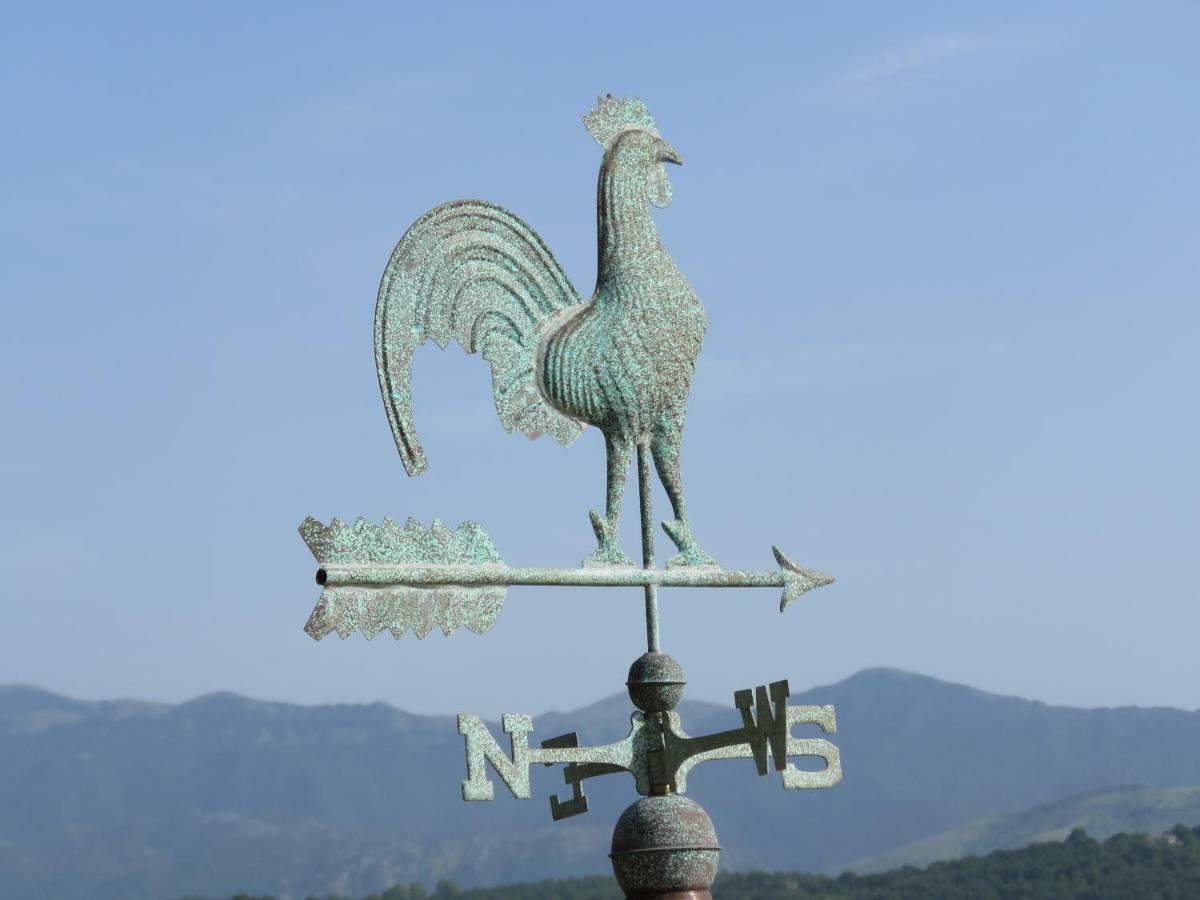 La Casa Sul Lago Posta Fibreno エクステリア 写真
